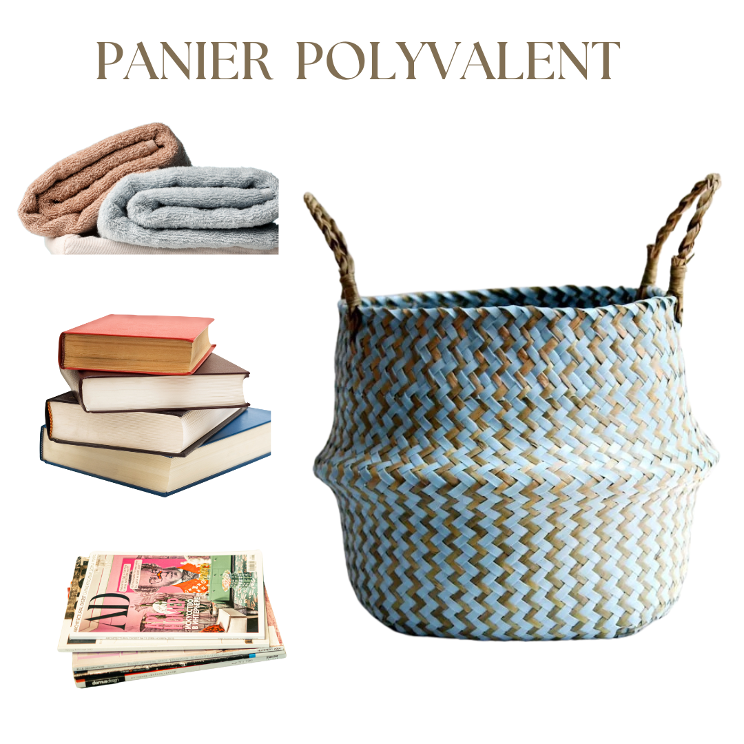 Panier-Bicolore-Rangement
